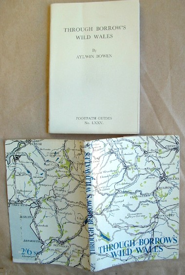 Image for Through Borrow's Wild Wales