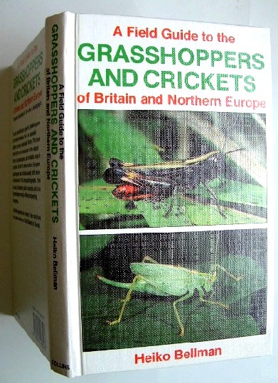 Image for Grasshoppers and Crickets of Britain and Northern Europe