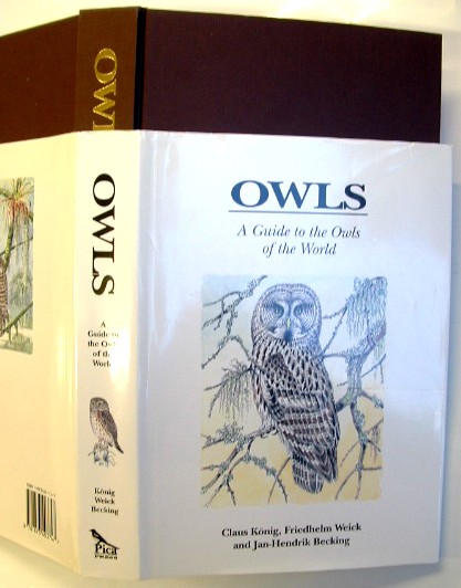 Image for Owls